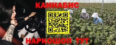 молекула духа Будённовск