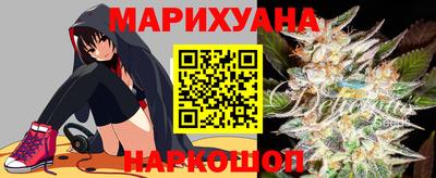 молекула духа Будённовск