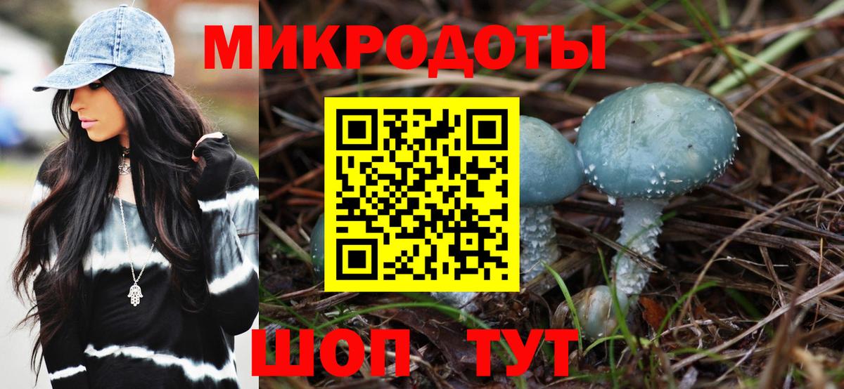 Псилоцибиновые грибы Psilocybine cubensis  хочу   Ялуторовск  Псилоцибиновые грибы Cubensis  Вход с VPN 